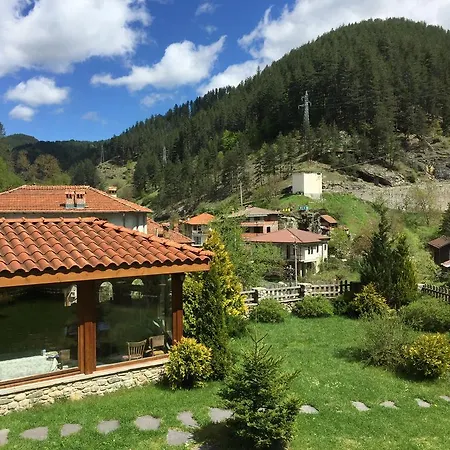 Martina, Sokolovtsi