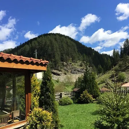 Martina, Sokolovtsi